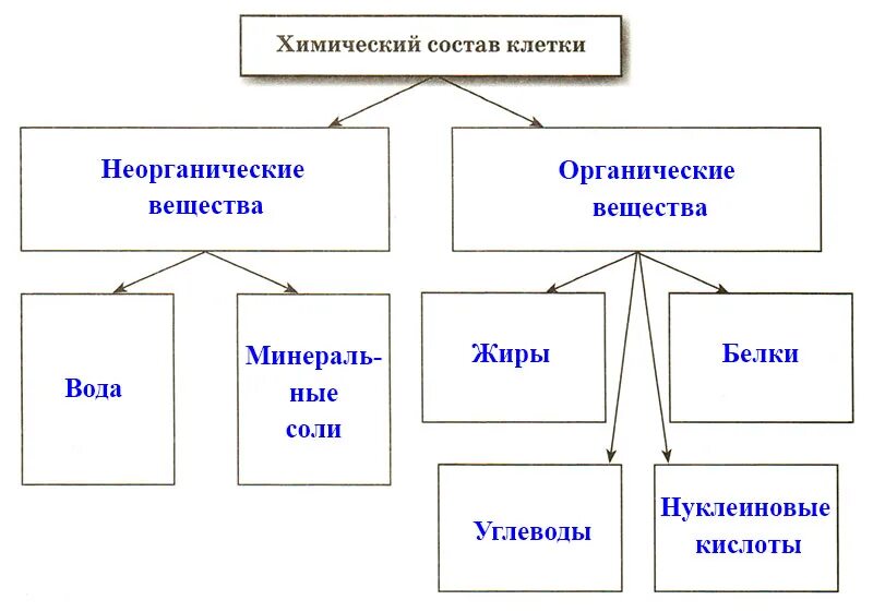 Что такое органические и неорганические вещества. Схема химический состав клетки 5 класс биология Пасечник. Химический состав клетки схема. Схема химический состав клетки 5 класс биология. Химический состав клетки 5 класс.