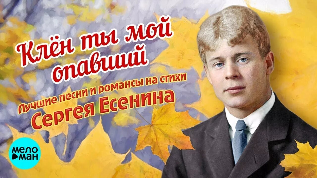 Песни есенина список. Есенин клен. Романсы на стихи Есенина.