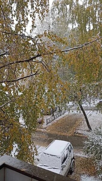 В Екатеринбурге выпал снег - фоторепортаж Регионы Селдон Новости