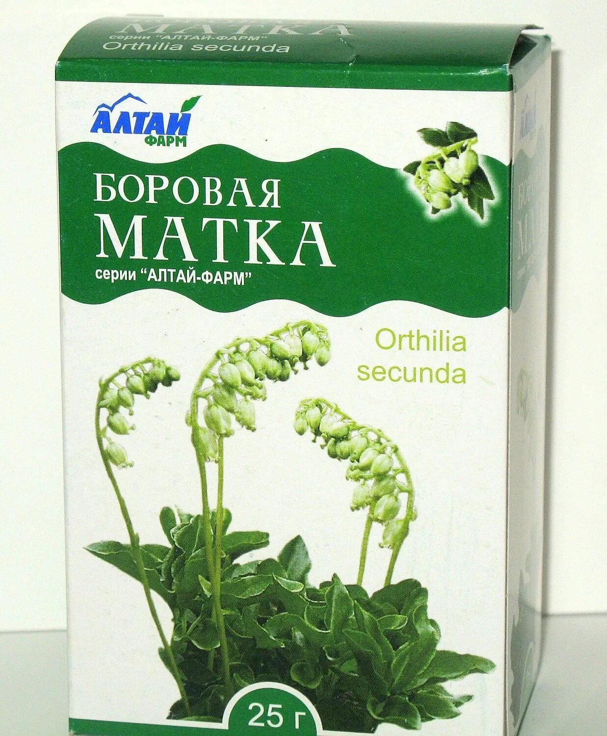 Боровая матка корень. Ортилия однобокая трава. боровая матка ортилия. ортилия однобокая (боровая матка)-лекра-сэт 2,0 n20 ф/пак. травы для женщин боровая матка.