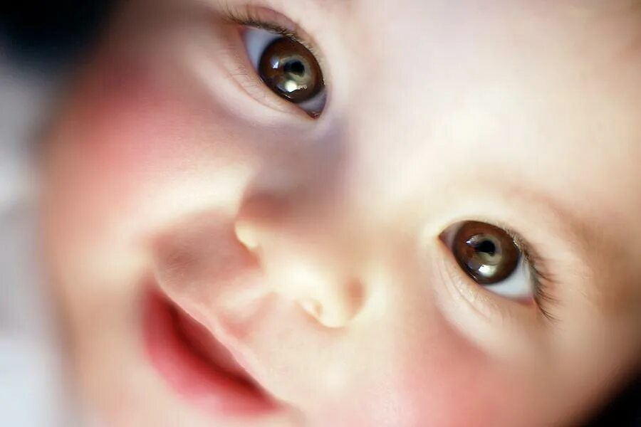 Baby eye песня. Baby Eyes. Baby Eye mimics. Baby Eyes poster. Baby Eye mp3.