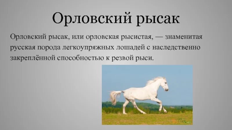 Лошадка основа