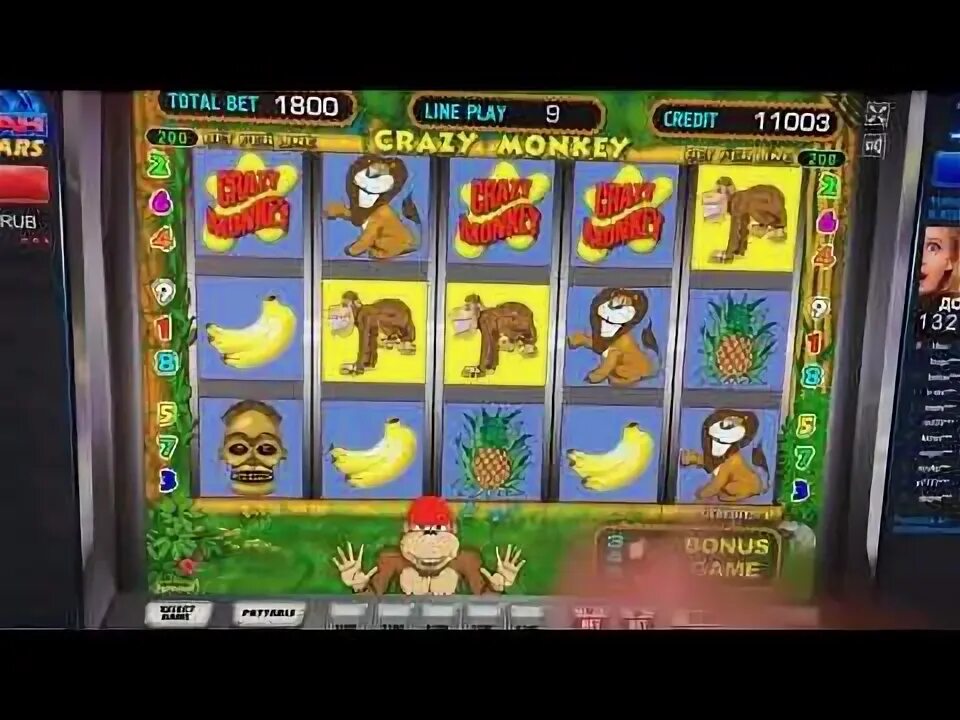 Как выиграть в обезьянки на вулкане. Crazy monkey выигрыш. обезьянки в казино на телефоне. как выиграть в игровые автоматы обезьяны. обезьяна казино выигрыш.