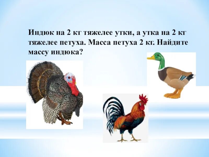 Хозяйке надо продать утку или петуха