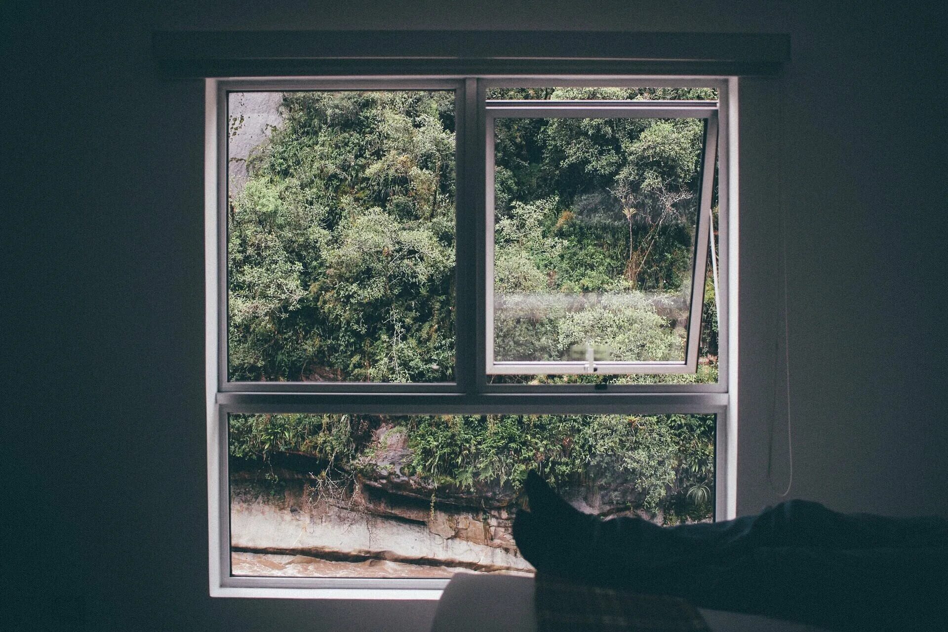 The windows is open