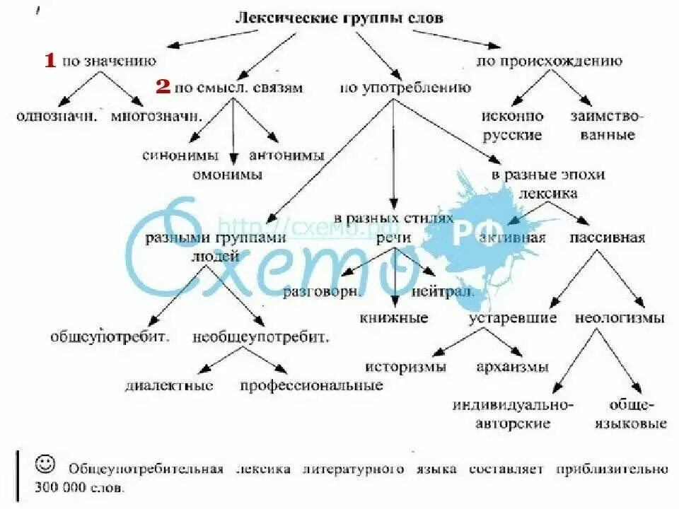 Группа слов с общим. Типы слов в лексике. Виды русской лексики. Типы лексики современного русского языка. Лексическая система русского языка.