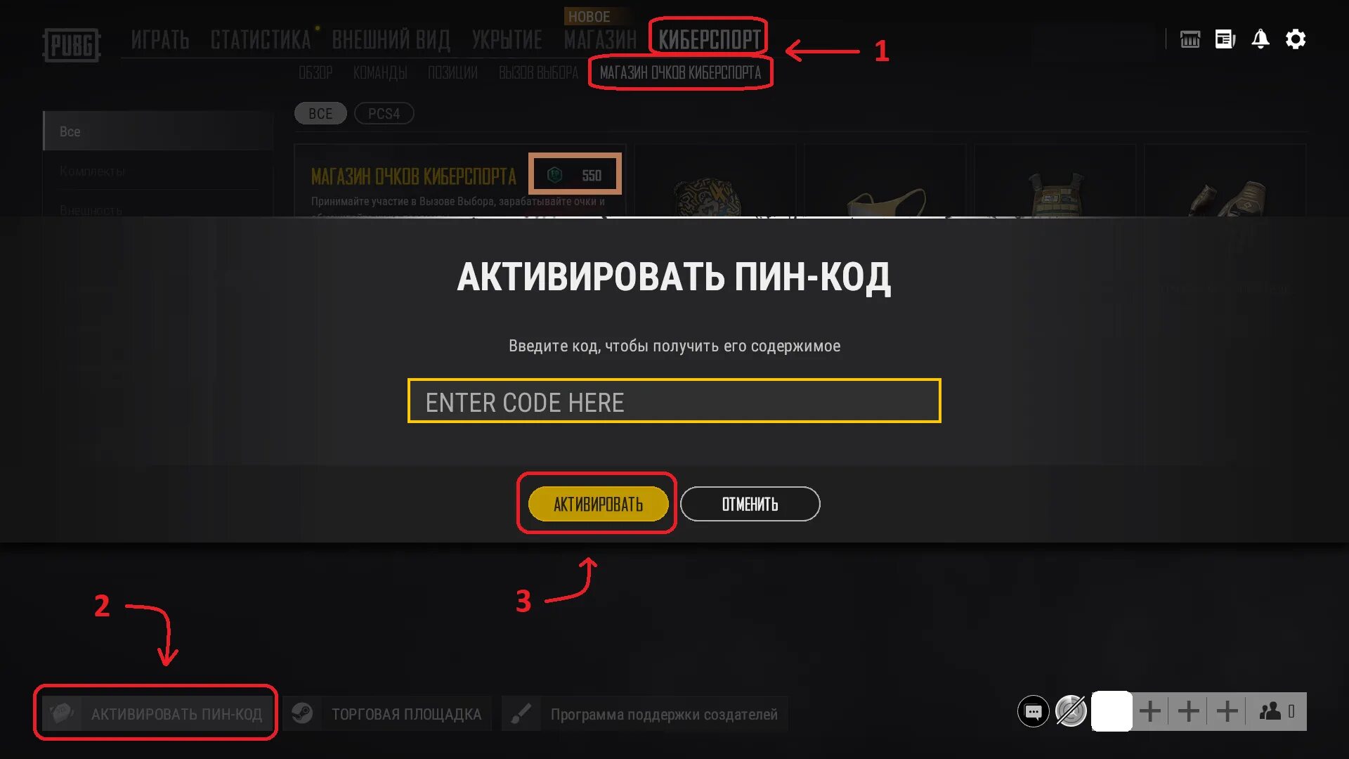 Код на g coin pubg. Пин код pubg. куда использовать купон премиум ящика в пабг. ep pt-pc.