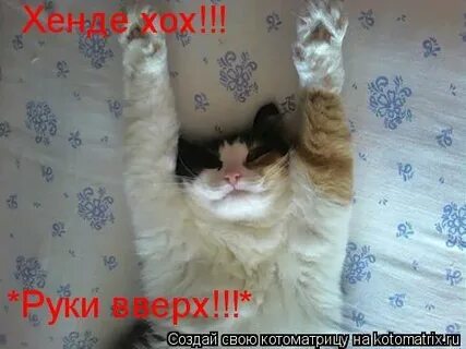 Хенде хох перевод