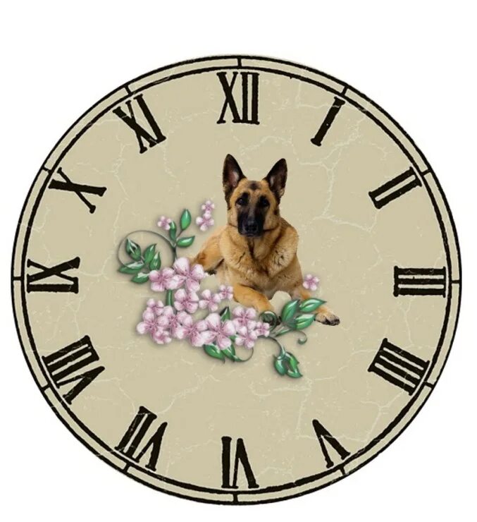 Часы про животных. Рисунок часы из животных.