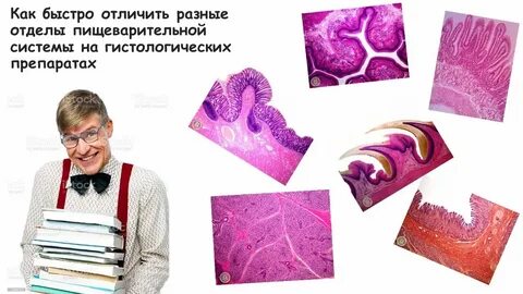 Быстро отличаться