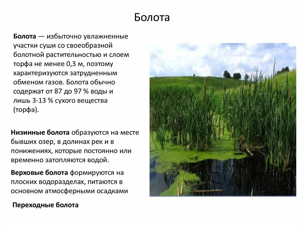 Какой газ на болоте. Избыточно увлажненный участок. Переходное болото. Суходолы временного избыточного увлажнения. Болото это избыточно увлажнённый участок суши с растительностью.