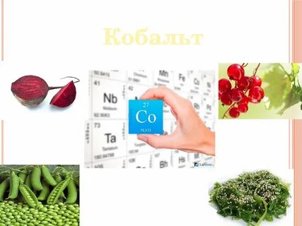 Роль кобальта в организме человека