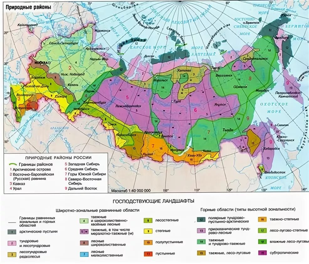 Карта природные зоны купить