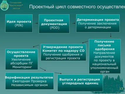 Форма проекта лесовосстановления