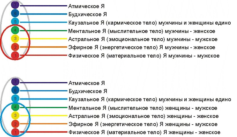 Кармический хвост 15 20 5 расшифровка. Энергетические тела. Оболочки человека тонкие тела. Атмическое тело. Каузальный план.