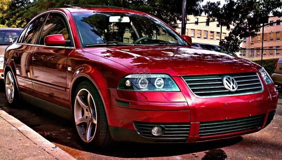 Passat b5 gp. Vw passat b5+. vw пассат б5+. passat b5.5. пассат б5 красный.