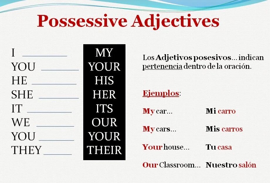 Possessive adjectives and pronouns. Possessive pronouns possessive adjectives правило. Таблица possessive adjectives and possessive pronouns. Местоимения personal possessive. Mine местоимения в английском языке.