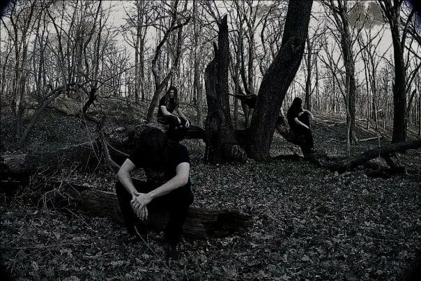 Post Black Metal. Evilfeast группа. Evilfeast Band - Mysteries of the Nocturnal Forest.