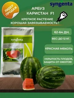 Характеристика сорт каристан