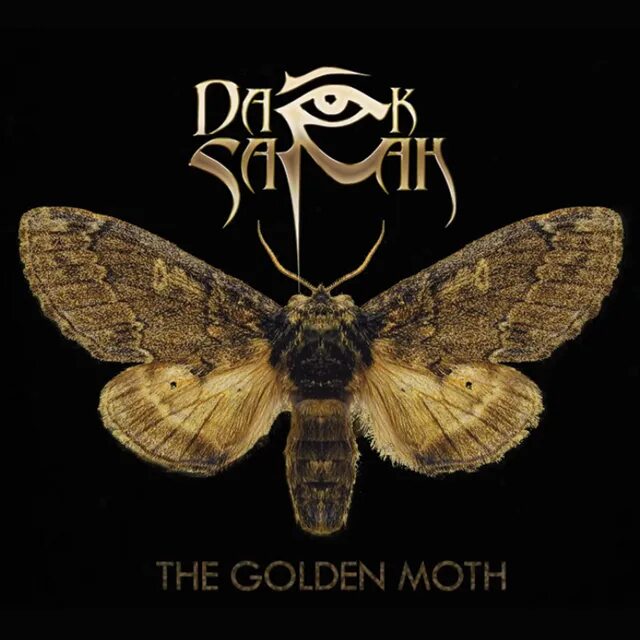 Dark sarah. Dark Sarah группа. Хейди Парвиайнен Dark Sarah. Heidi. Группа. 2018 - The Golden Moth.