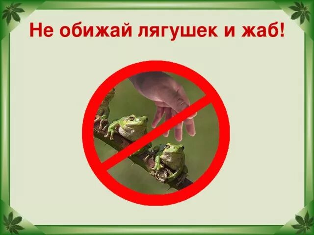 Песня не обижай ее не обижай зачем. Нельзя обижать лягушек и жаб. Не будем обижать лягушек и жаб. Знак не обижай лягушек и жаб. Природоохранные знаки.