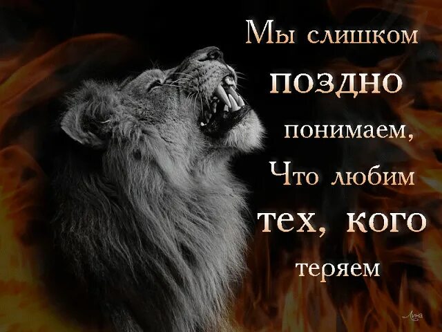 Песня поздно о чем то думать. Поздно слишком поздно. Мы слишком поздно понимаем. Уже слишком поздно.