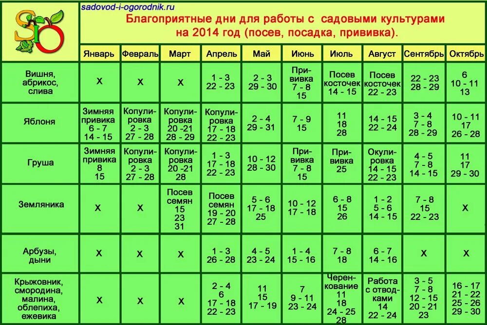 Лунный календарь для комнатных цветов. Благоприятные для пересадки комнатных растений. Благоприятные дни для посадки комнатных цветов. Благоприятный день для посева цветов комнатных. Лунный календарь пересадки комнатных растений апрель 2024г