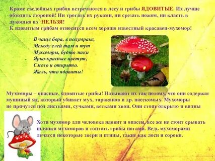 Почему детям нельзя грибы