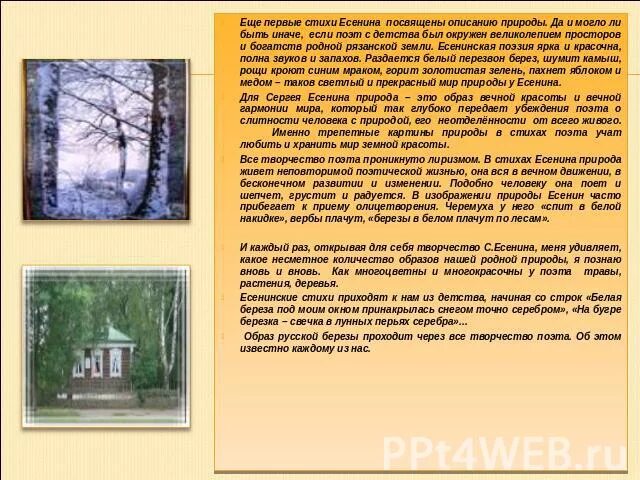 Родная природа в стихотворениях есенина. Есенин белая береза стихотворение. Тема природы в лирике Есенина. Описание природы из окна. Образ дерева в лирике Есенина.