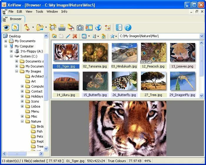 Xnviewer