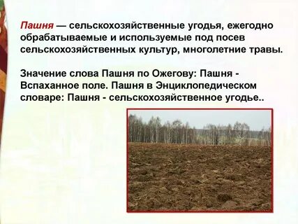 Слово пашня