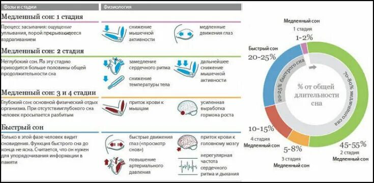 Фазы сна схема. Структура сна фазы медленного и быстрого сна. Сон фазы сна схема. Фазы быстрого и медленного сна таблица.