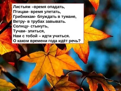 Осень листва стихи