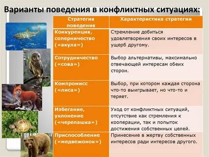 Поведения в конфликтной ситуации презентация