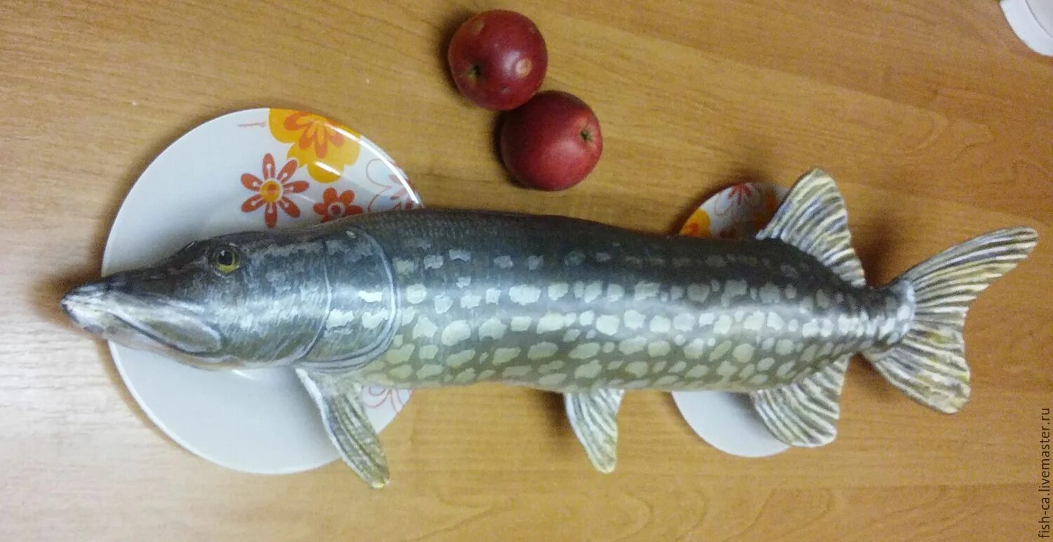 как сделать щуку без