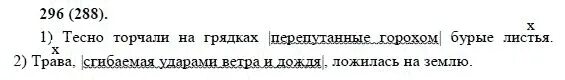 Диктант огород 7 класс недавно расчищенная. Тесно торчали на грядках. Как на нашей грядке выросли загадки крепкие зеленые хороши соленые. Тесно торчали на грядках перепутанные горохом бурые листья. Дачники на грядках.