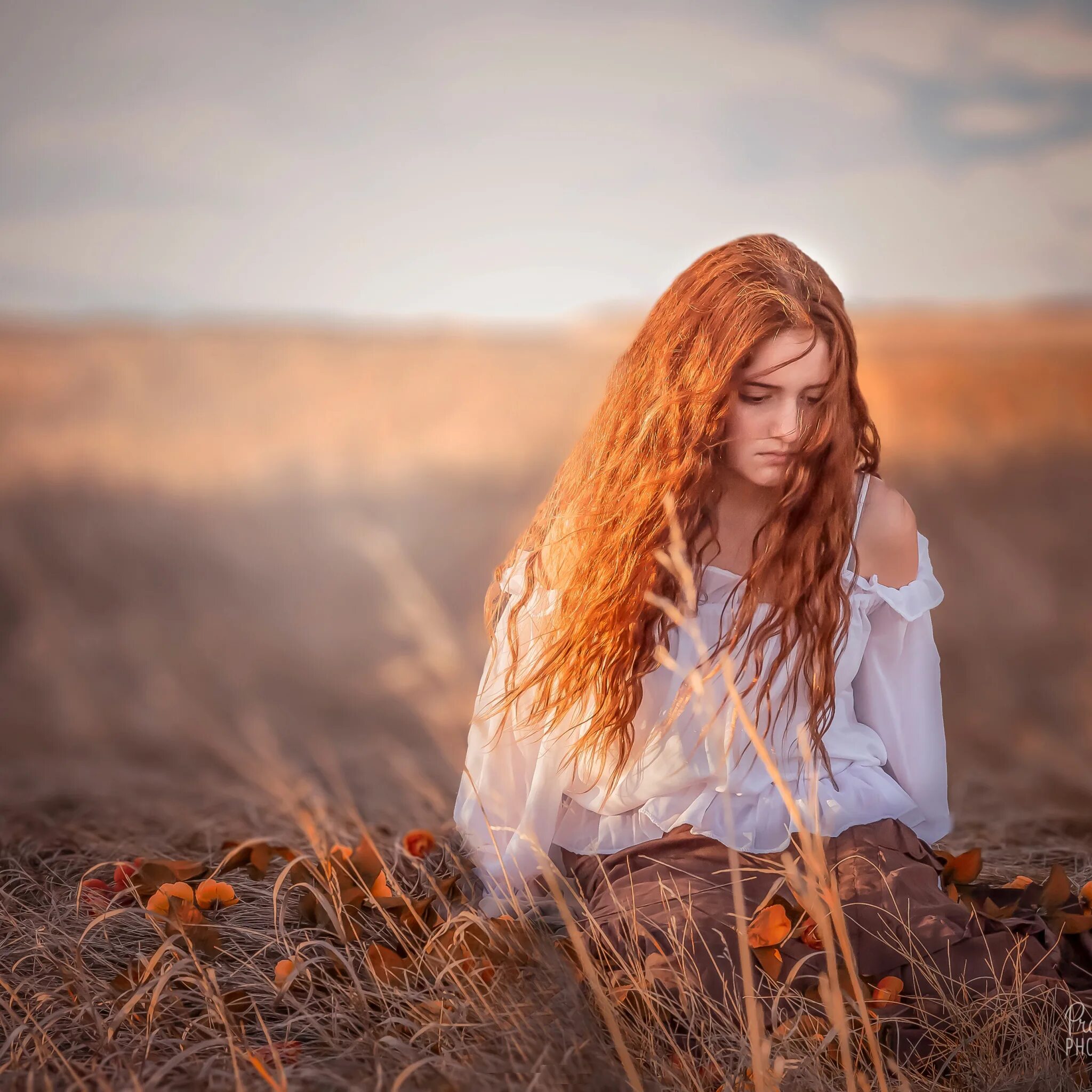 Поле волосы. Каштановые волосы у девушек. Девушка на ветру. Девушка с пшеничными волосами. Красивая девушка в поле.