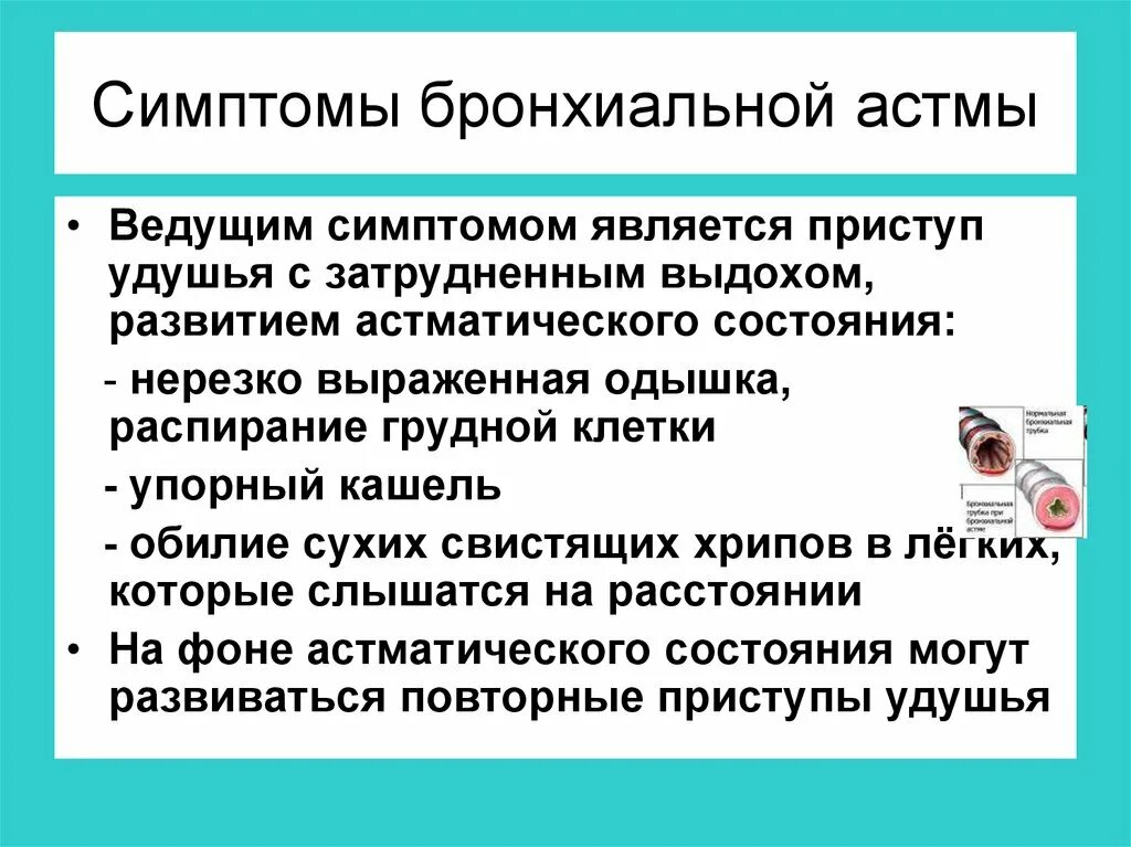 Основное проявление бронхиальной астмы тест