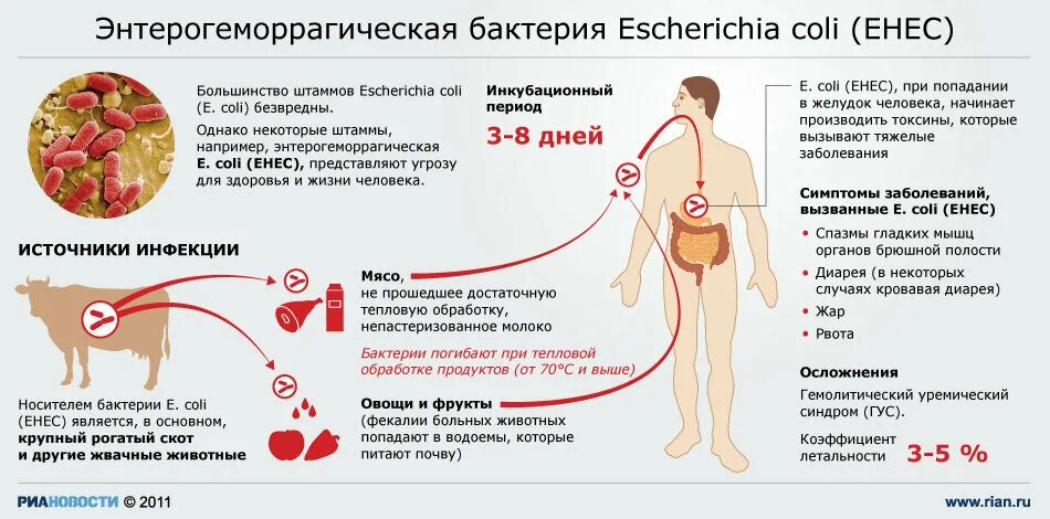 Какие болезни можно подцепить. Эшерихия коли пути передачи. Пути передачи эшерихии коли. Эшерихии коли заболевания. Эшерихиоз пути заражения.