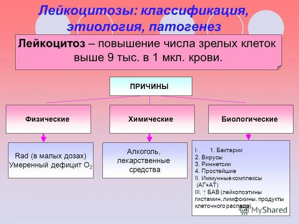 Этиология лейкоцитоза. Патогенез лейкоцитов. Патогенез лейкоцитоза патофизиология. Лейкоцитоз этиология и патогенез.