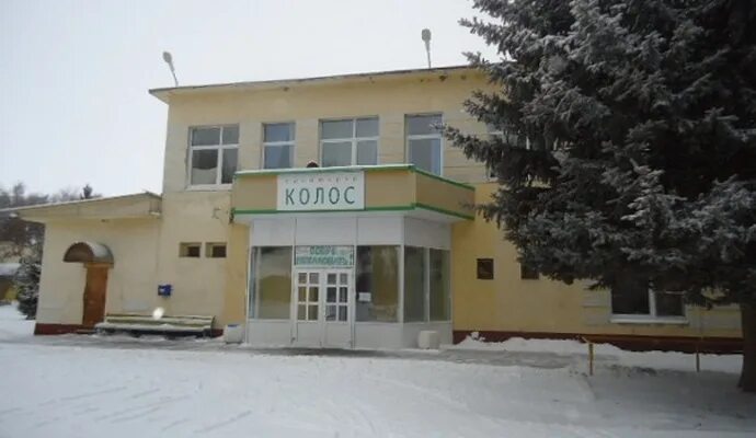 Центр колос. Санаторий колос рязанская область. лагерь колос рязань. детский лагерь рязанская область колос. лагерь санаторий колос.