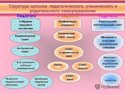 Школьное самоуправление задачи