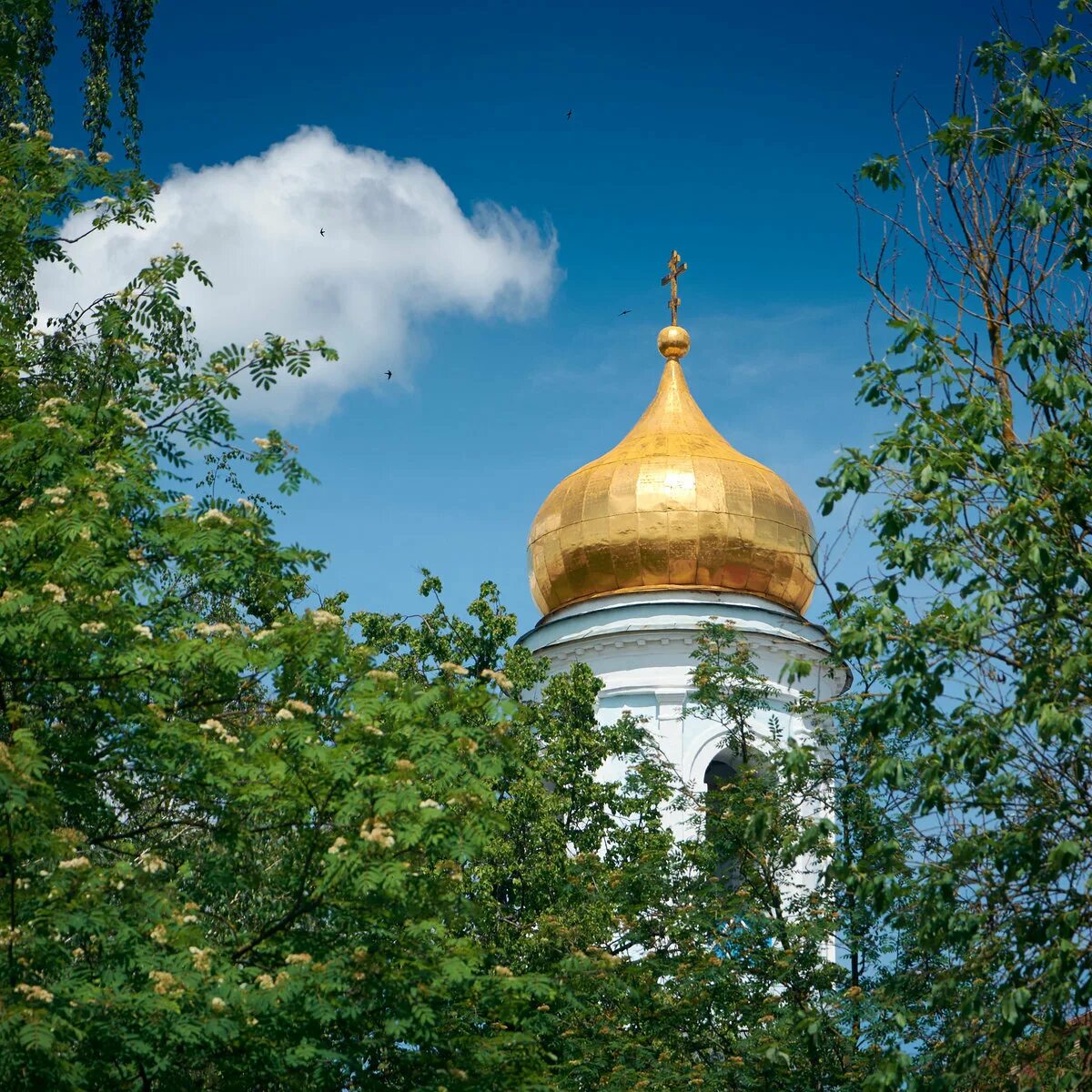 Церковь золотые купола Саратов. Кемерово золотые купола Церковь. Троица храм купола березы. Православный храм с золотыми куполами. Березовый храм