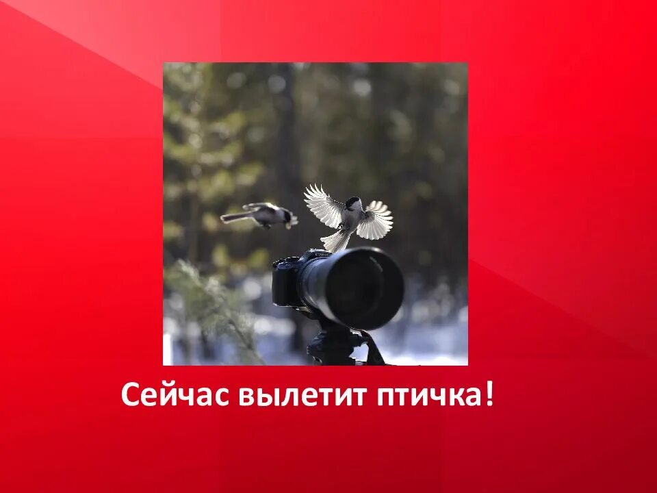 Сегодня вылетаешь