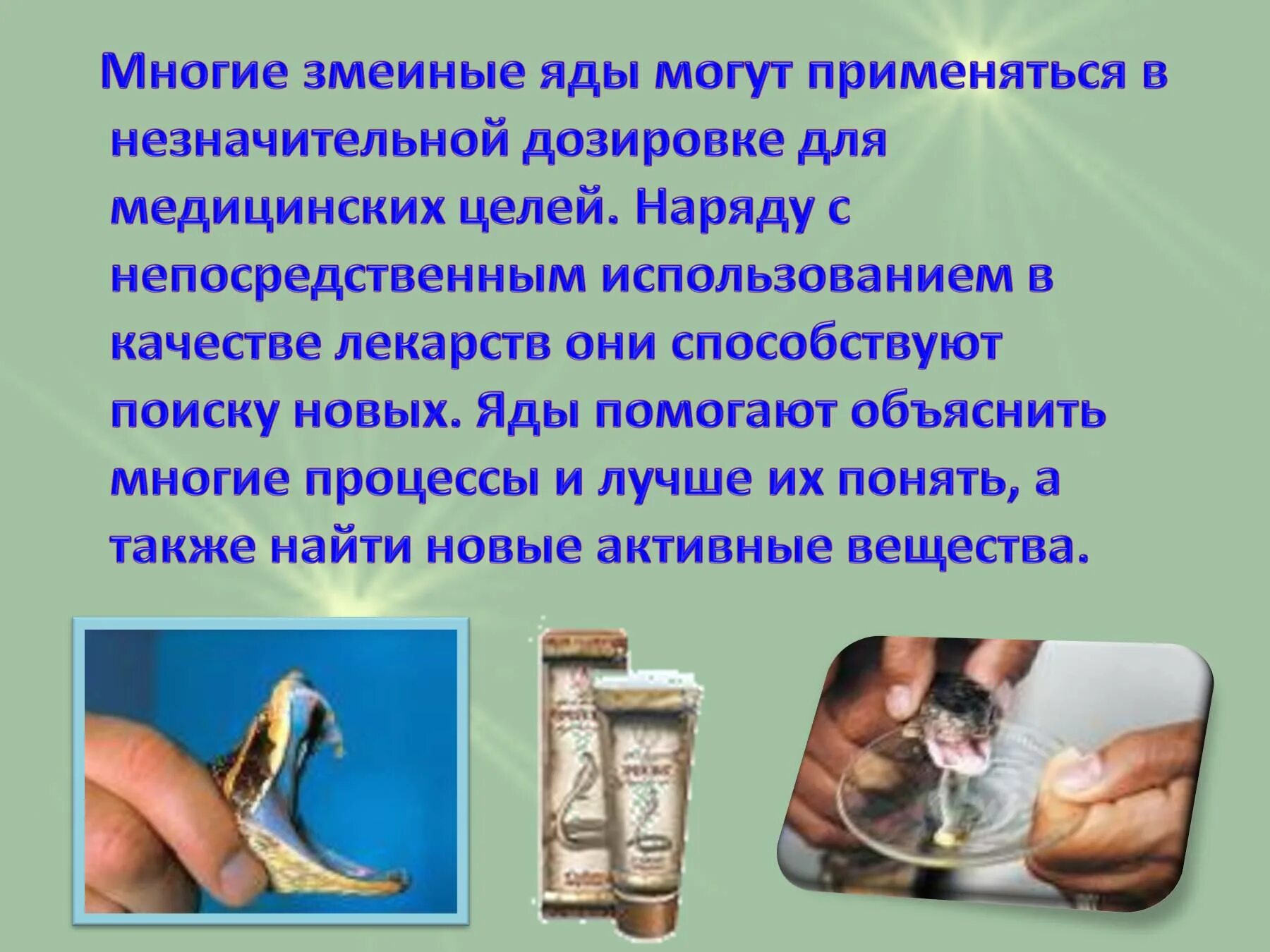 Яд используется в медицине. Какие яды используют в медицине. Ядовитые растения. Лечебные и ядовитые растения. Токсичные вещества в растениях.