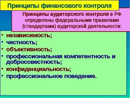 Принципы финансового аудита