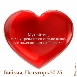 Сердце библия