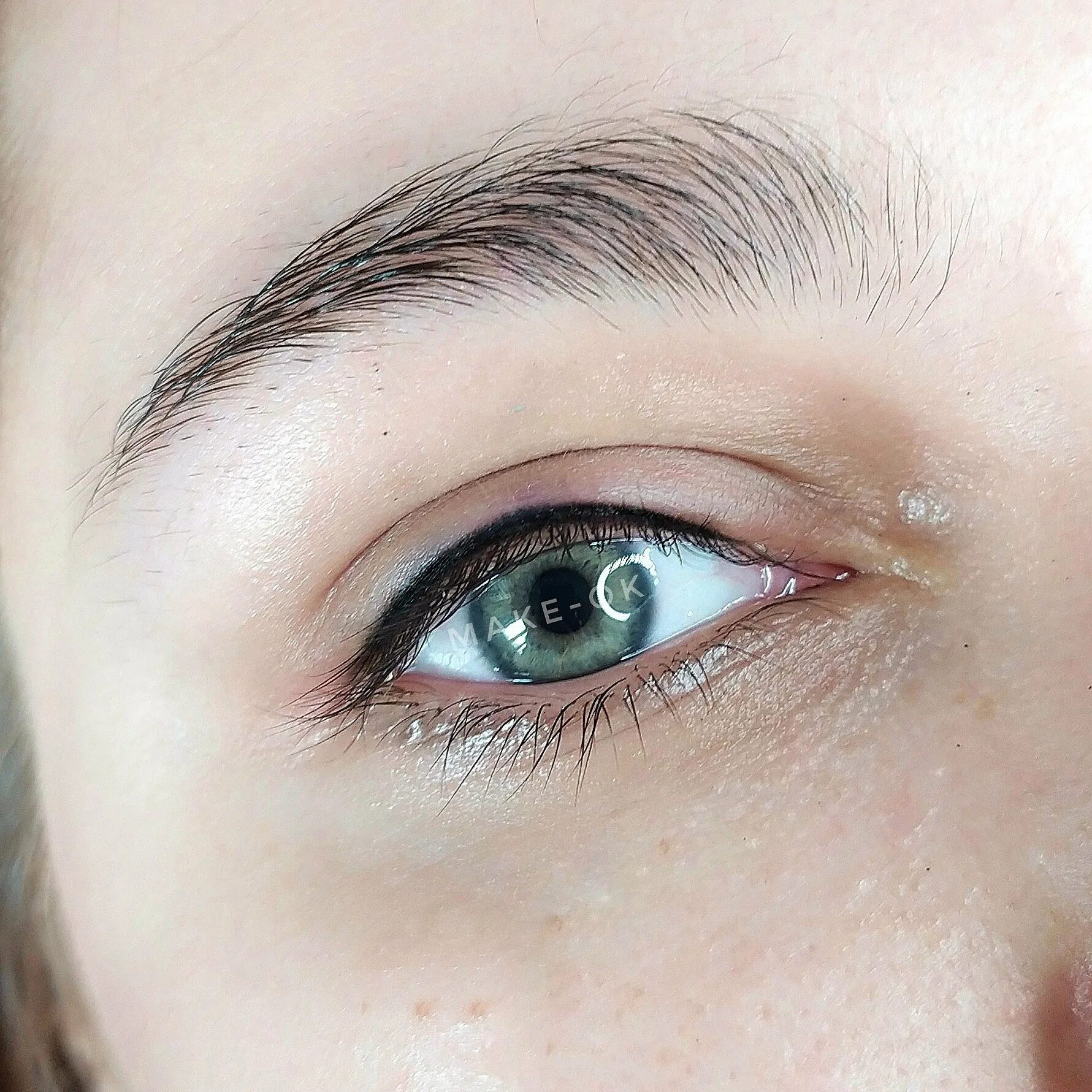 Пм межресничка с растушевкой. Межресничная стрелка татуаж. Татуаж ресниц глаз. Красивые стрелки перманентный макияж. Перманентный макияж век межресничка.