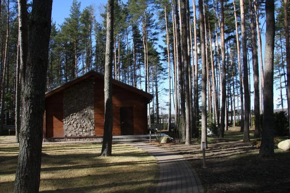 Полянское сельское поселение выборгского района ло. Озеро красавица ленинградская область зеленогорск. Выборгский р н ло. Лесное озеро приозерский район. Красная долина ленинградская область выборгский район.