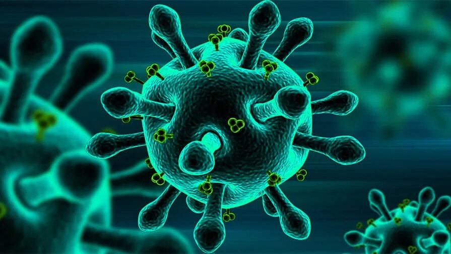 Грипп какие бактерии. Бактерия коронавируса под микроскопом. Вирус коронавирус микробиология. Микроб гриппа. Микробы и вирусы под микроскопом.